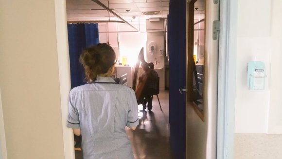 royal brompton image 2